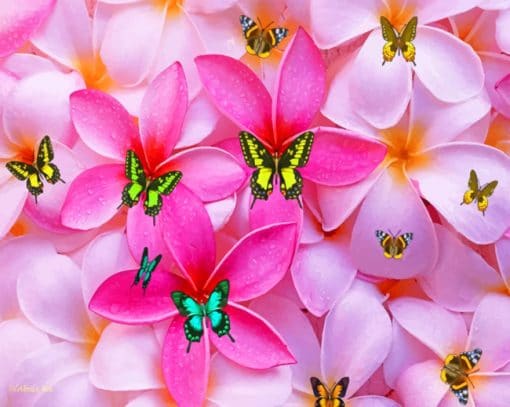 Plumeria Flowers And Butterflies Paint By Numbers