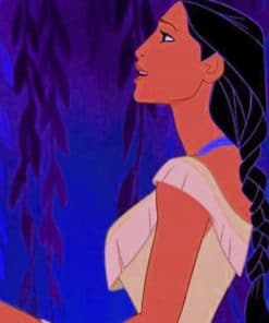 Pocahontas Disney Animation paint by numbers