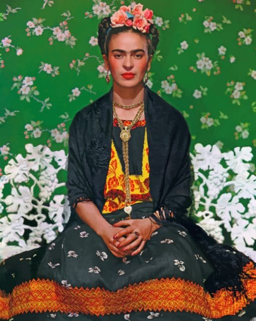 Portrait Frida kahlo paint by numbers