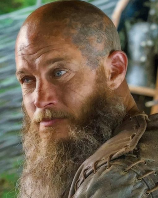 Ragnar Lothbrok paint by numbers