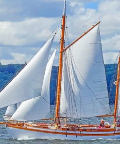 Sail Boat In Beach paint by numbers