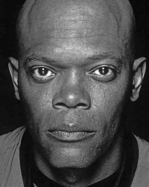 Samuel L Jackson Portrait paint by numbers