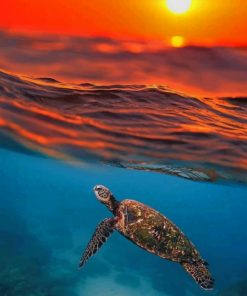 Sea Turtle And Sunset paint by numbers