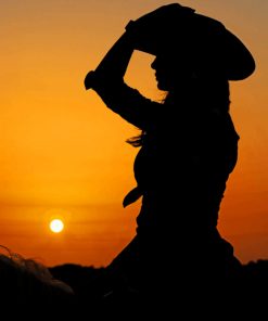 Silhouette Of Cowgirl On Horse paint by numbers