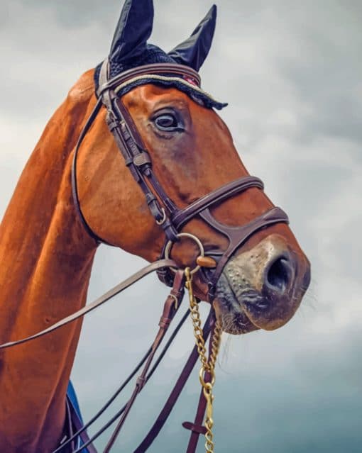 Sorrel Horse Face paint by numbers