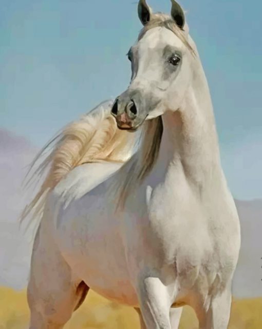 Stallion Horse paint by numbers