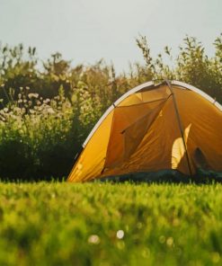 Tent At Fields Edge paint by numbers