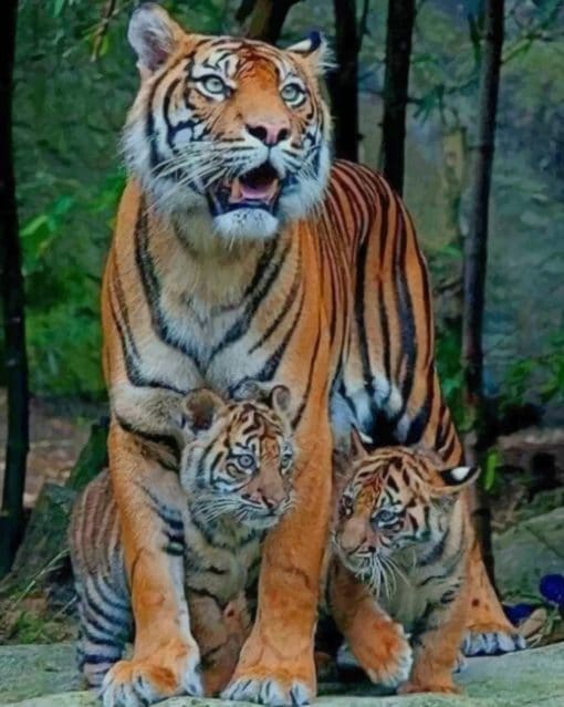 Tiger Mommy And Cubs paint by numbers