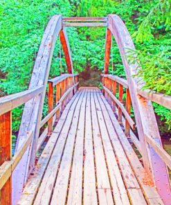 Wooden Bridge Within Trees paint by numbers