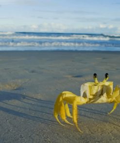 Yellow Crab On Beach paint by numbers