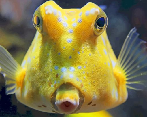 Yellow Fish Longhorn Cowfish Reef paint by numbers