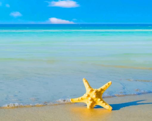 Yellow Star Fish On Beach paint by numbers