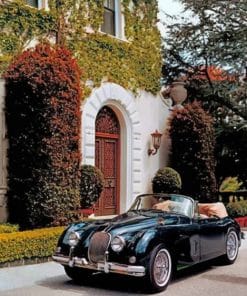 1950 jaguar convertible paint by numbers