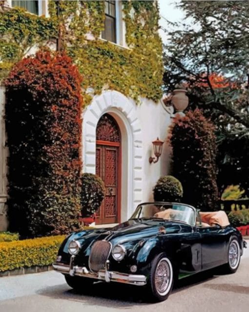 1950 jaguar convertible paint by numbers