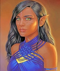 African Elf paint by numbers