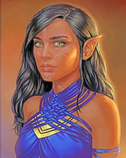 African Elf paint by numbers