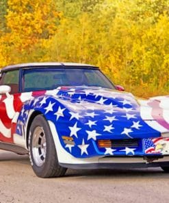 American Flag Car paint by numbers