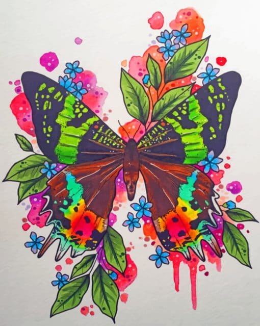 Butterfly Art paint by numbers