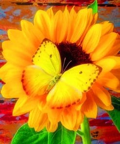 Butterfly With Sunflower paint By Numbers