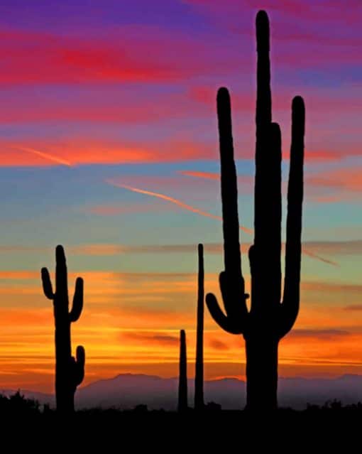 Cactus Plants Silhouette paint by numbers