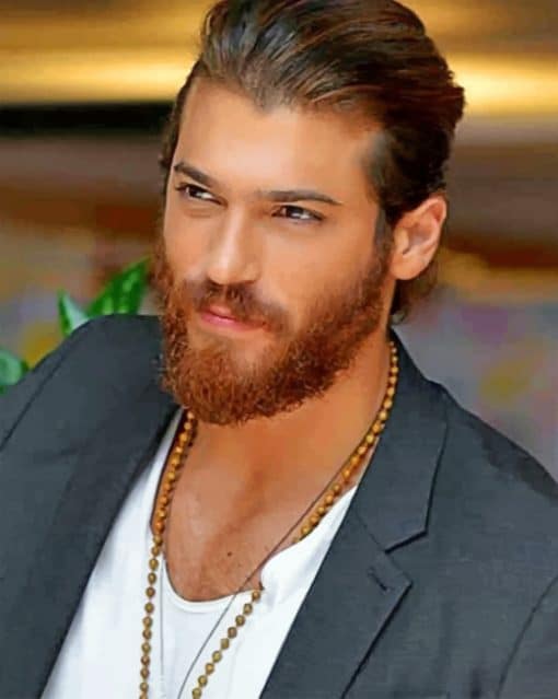 Can Yaman paint By Numbers