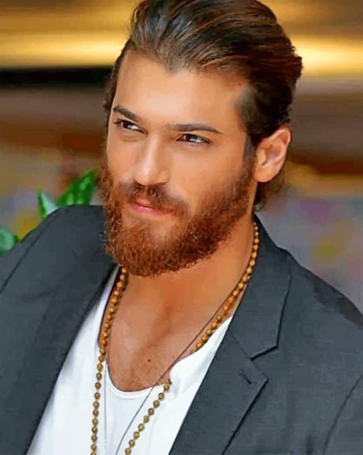 Can Yaman paint By Numbers