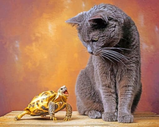 Cat And Turtle paint by numbers