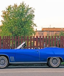 Classic Blue Car paint by numbers