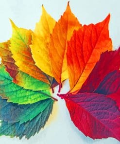 Colorful Leaves paint by numbers