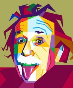 Einstein Pop Art paint by numbers