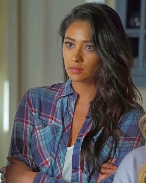 Emily Fields Paint by numbers