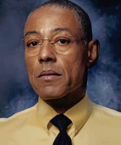 Gus Fring Character painnt by numbers