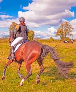 Horse Rider paint by numbers