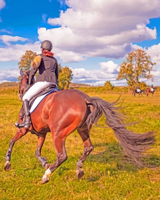 Horse Rider paint by numbers