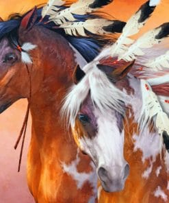 Indian Horse paint by numbers