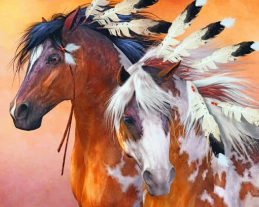 Indian Horse paint by numbers