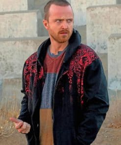 Jesse Pinkman Character Paint by numbers