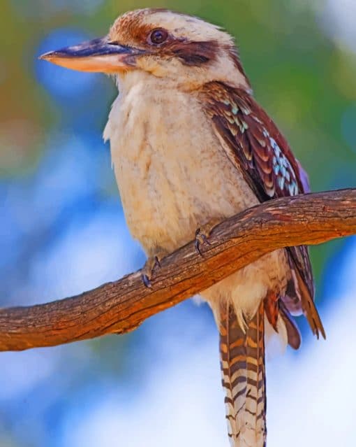 Laughing Kookaburra Paint by numbers