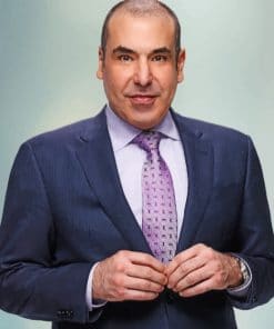 Louis Litt Character Paint by numbers