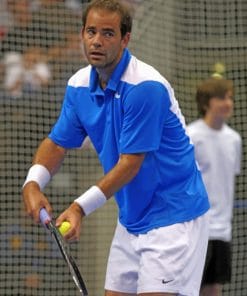 Pete Sampras paint by numbers