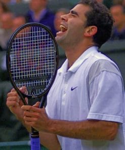 Pete Sampras Player Paint by numbers