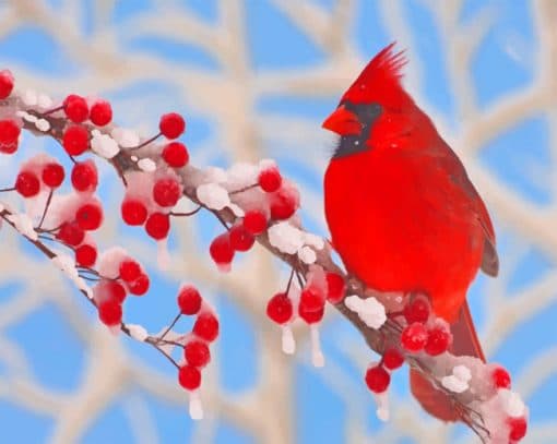 Red Cardinal paint by numbers