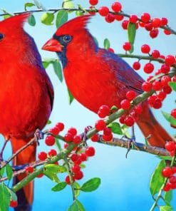 Red Cardinals paint by numbers