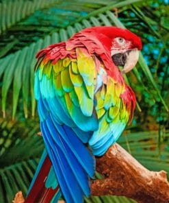 Red And Green Macaw Paint by numbers