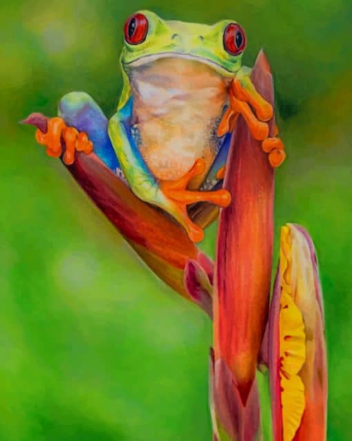 Red Eyed Tree Frog Paint by numbers