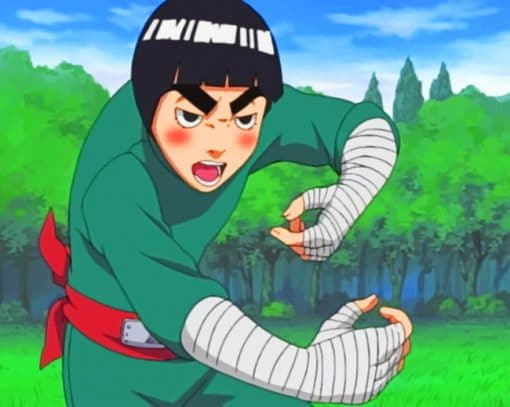 Rock lee paint by numbers