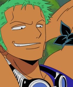 Roronoa Zoro Character Paint by numbers