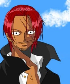 Shanks Character Paint by numbers