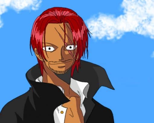 Shanks Character Paint by numbers