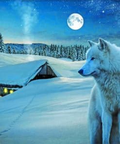 Snow Wolf paint by numbers